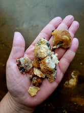 Load image into Gallery viewer, Pine Pitch Salve