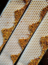 Load image into Gallery viewer, Raw Honey & Milk Handcrafted Soap