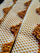 Load image into Gallery viewer, Raw Honey & Milk Handcrafted Soap