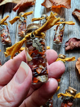 Load image into Gallery viewer, Autumnus Intention Jars