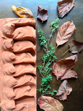 Load image into Gallery viewer, Heirloom Tomato & Thyme Soap