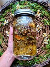 Load image into Gallery viewer, Lavender Cocoa Lotion Bars
