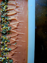 Load image into Gallery viewer, Strawberry Lemonade Soap
