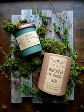 Load image into Gallery viewer, Breath of Fresh Air candle &amp; wax melts
